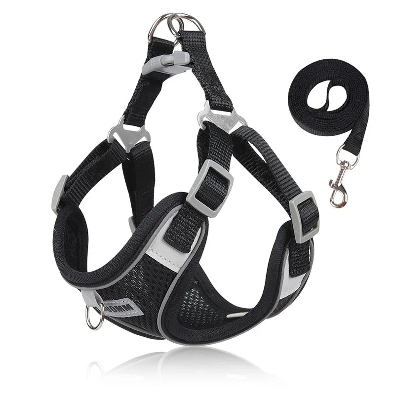 Breathable Cat, dog Harness