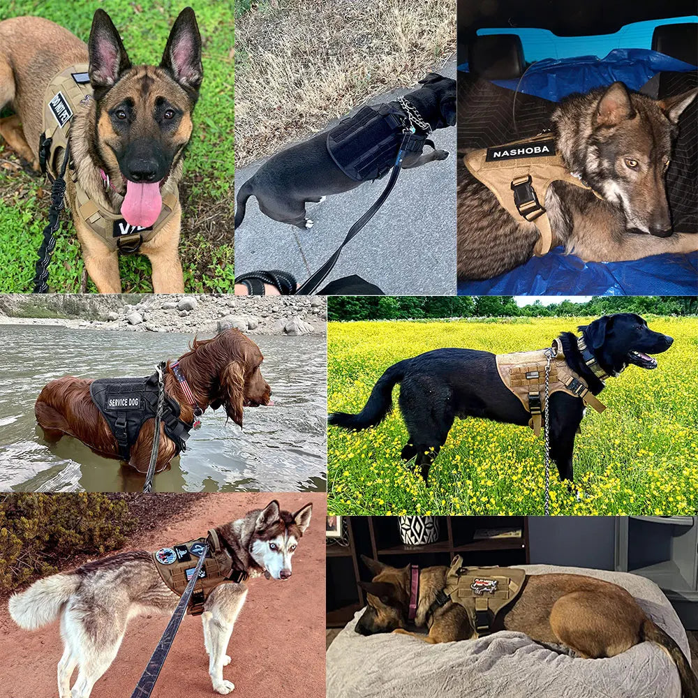 Military Large Dog Harness Collar Leash Bags